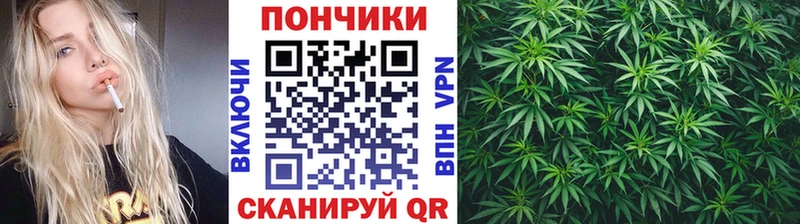 Купить закладку Кокаин  NBOMe  Меф  Alpha-PVP  Наволоки