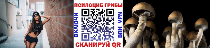 Галлюциногенные грибы мицелий  Купить где  Наволоки 